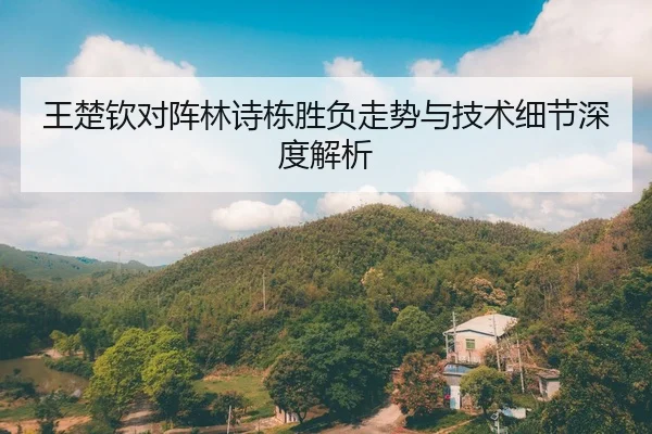 王楚钦对阵林诗栋胜负走势与技术细节深度解析